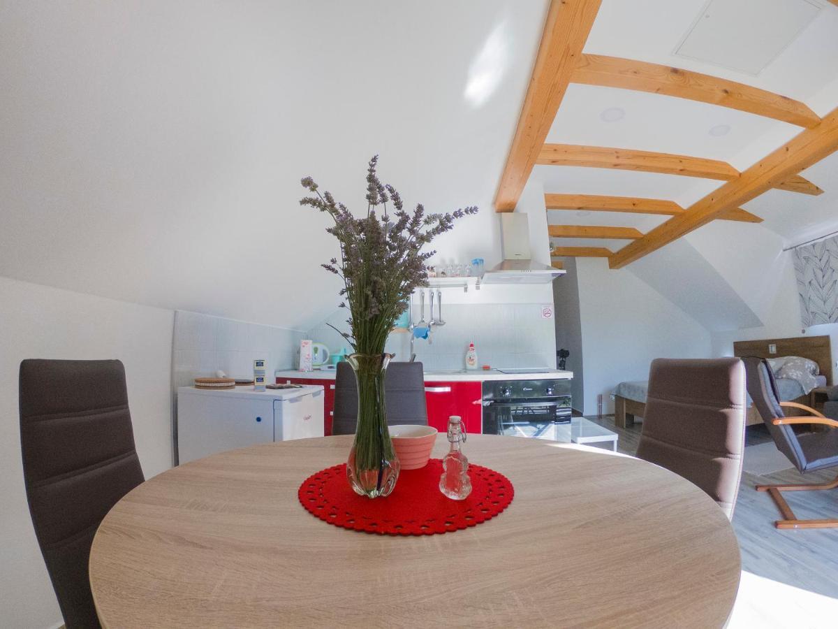 Studio Apartment Karlo Dreznik Grad Exterior photo